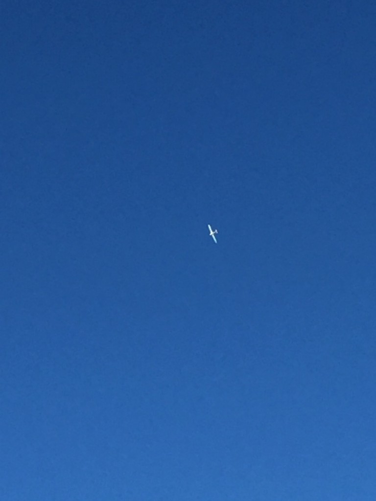 写真 2015-11-27 14 35 04