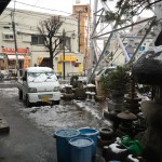 雪が降りました