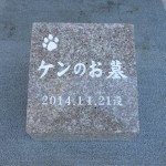 ペットのお墓を作りました