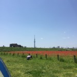 ピクニックに行ってきました